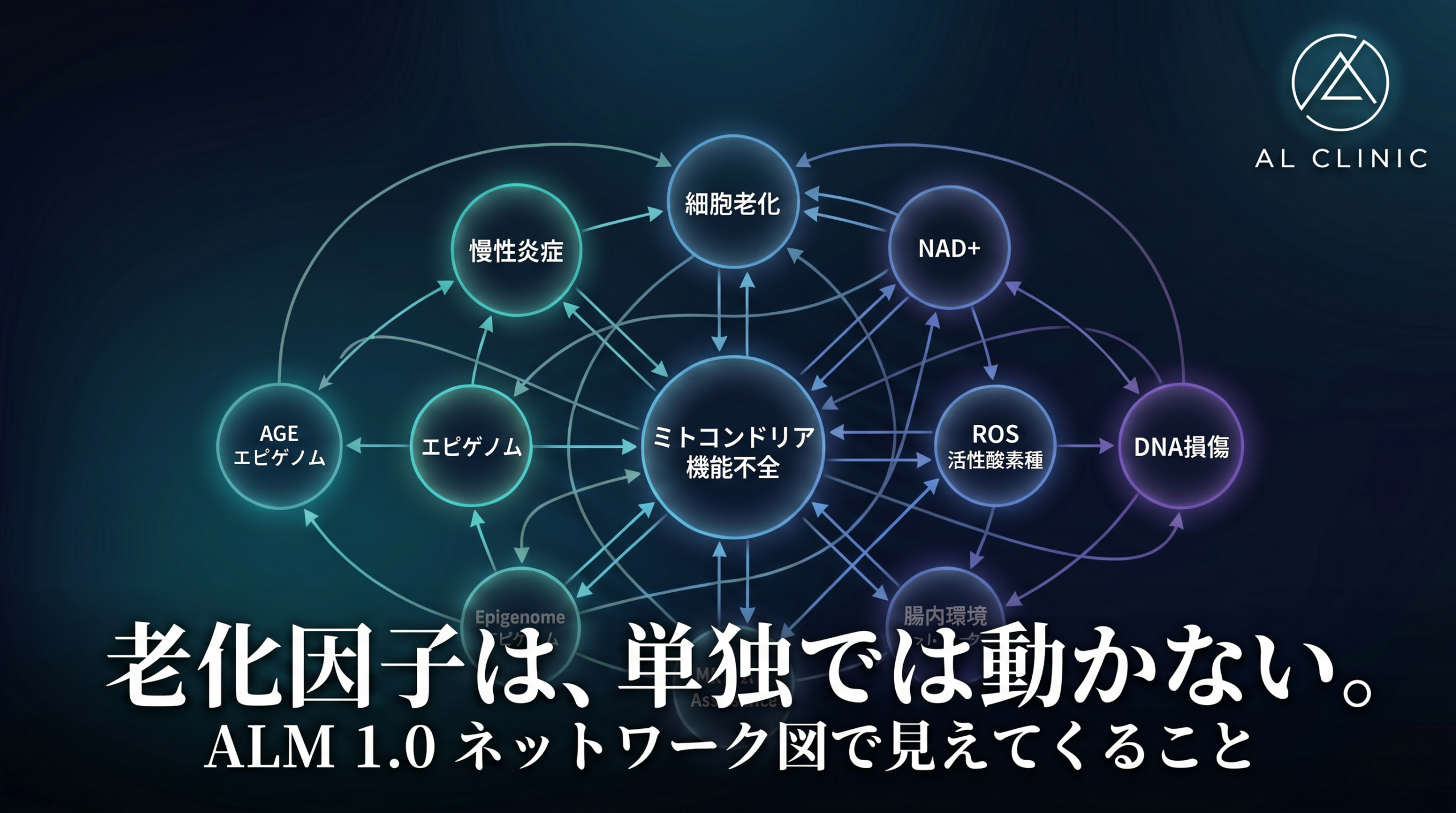 Aging Loop Network